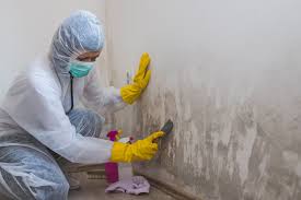 Best Biohazard Mold Removal  in Union, NJ